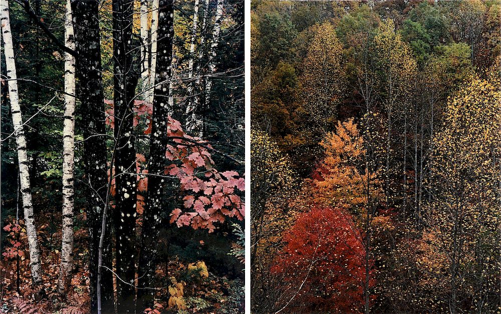 Appraisal: ELIOT PORTER American - TWO PHOTOGRAPHS Colorful Trees Newfound Gap