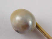 Appraisal: A gold and natural pearl stick pin accompanied by IGL