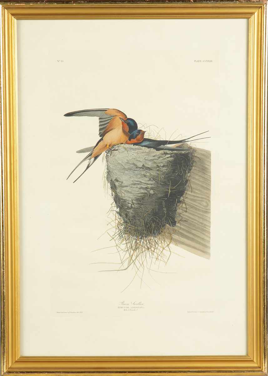 Appraisal: John James Audubon American - After Barn Swallow Hirundo Americana