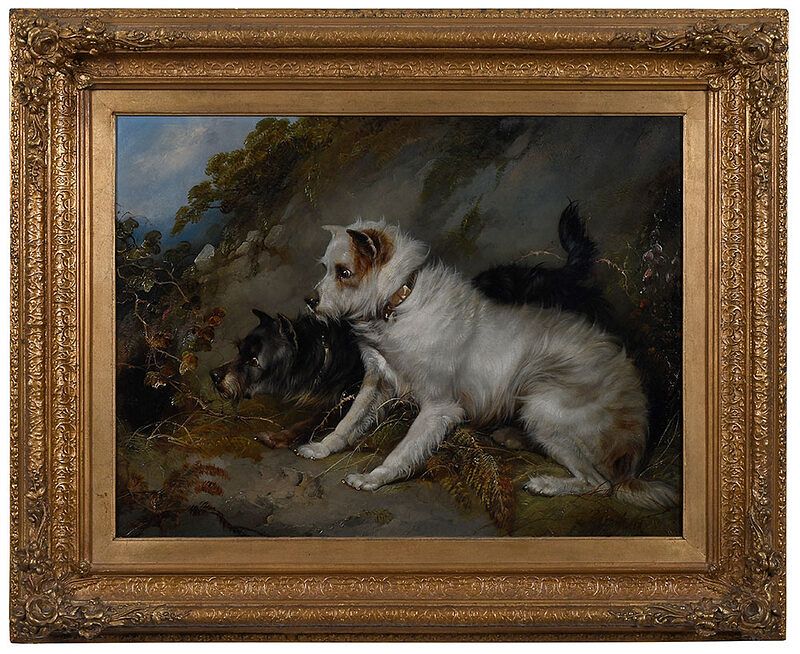 Appraisal: George Armfield British Terriers Rabbiting signed lower right G Armfield