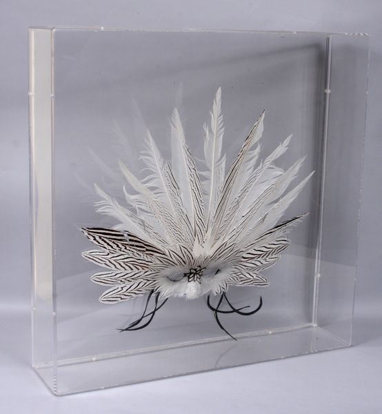 Appraisal: Arts and Crafts exotic feather mask in plexiglas case h