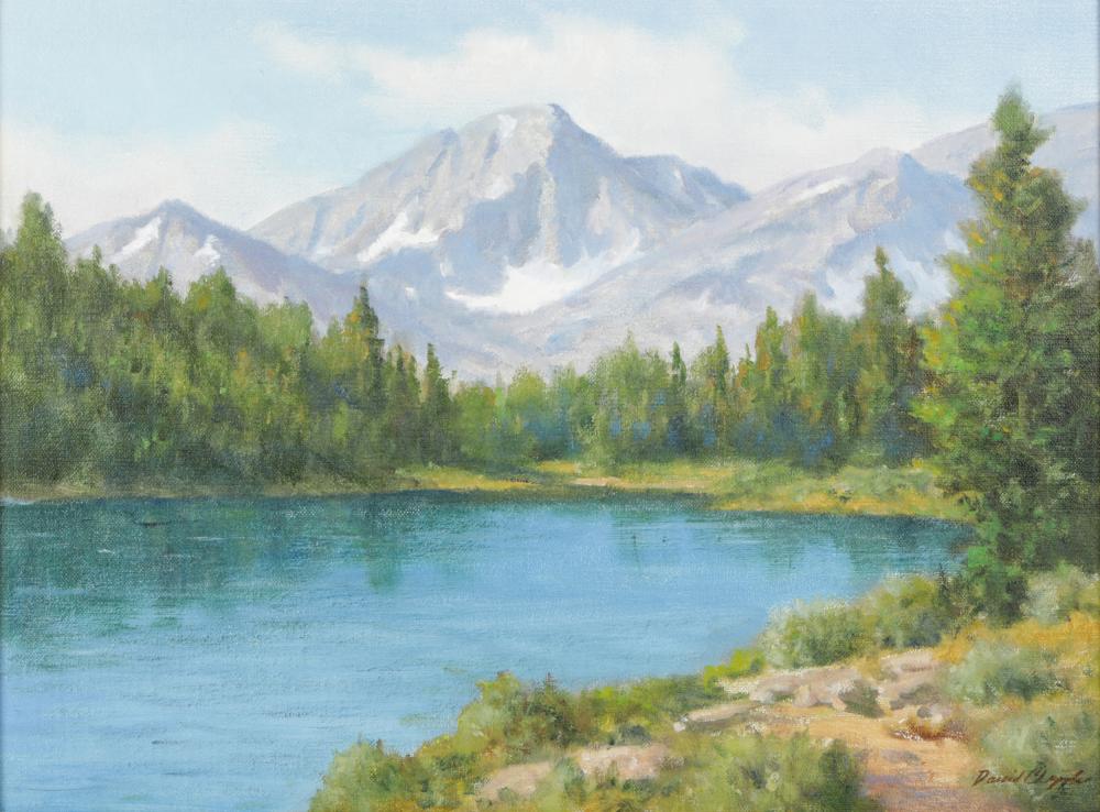 Appraisal: DAVID CHAPPLE B JOHN MUIR WILDERNESSoil on board signed lower