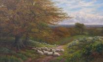 Appraisal: William Alfred Elleby fl - Untitled landscape with sheep herd