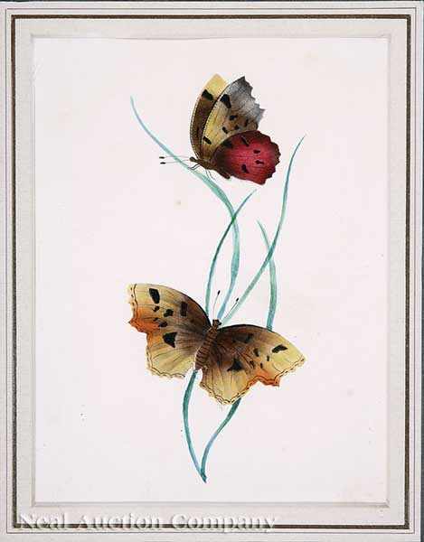 Appraisal: A Group of Six Continental Gouaches of Butterflies and Flora