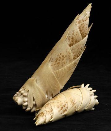 Appraisal: JAPANESE CARVED IVORY GROUP OF BAMBOO SHOOTS Signed Bunsho in