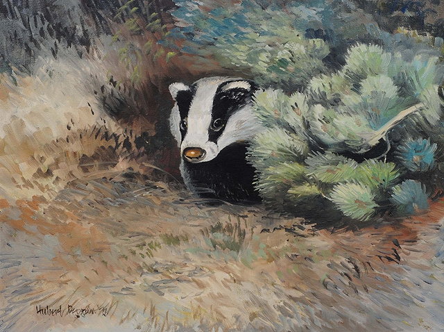 Appraisal: Hubert Pepper th Century A badger in the woods signed