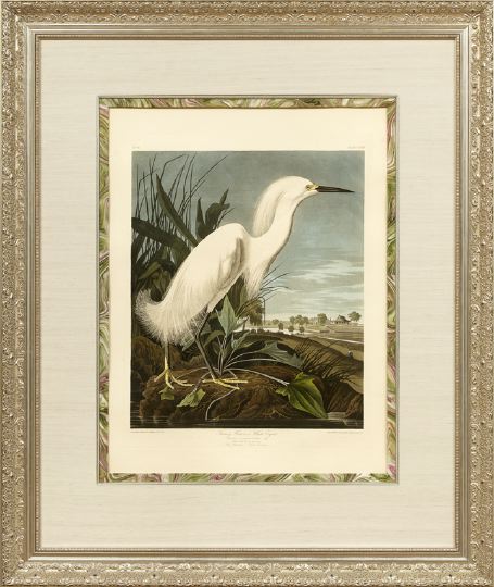 Appraisal: After John James Audubon American - Snowy Heron or White