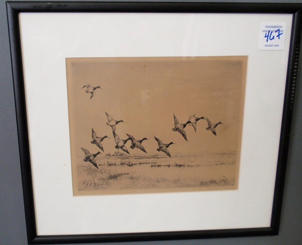 Appraisal: Framed print of ducks signed Roland Clark x