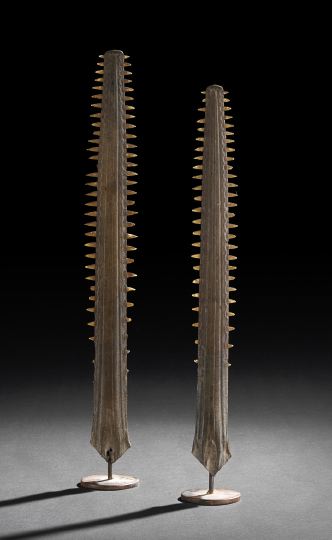 Appraisal: Near Pair of Sawfish Bills mounted vertically on custom circular