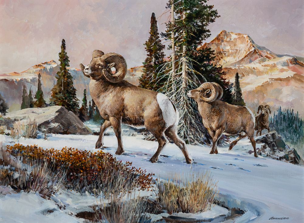 Appraisal: Richard Amundsen Big Horn Sheep Richard Amundsen - Big Horn