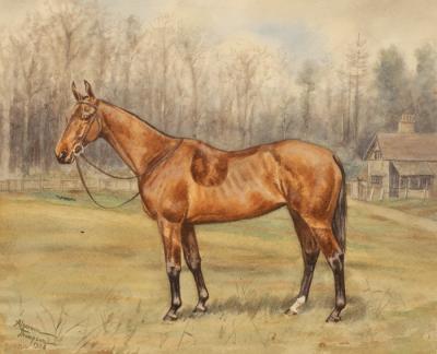 Appraisal: Algernon Thompson - Portrait of a Racehorse 'Antoinette' signed and