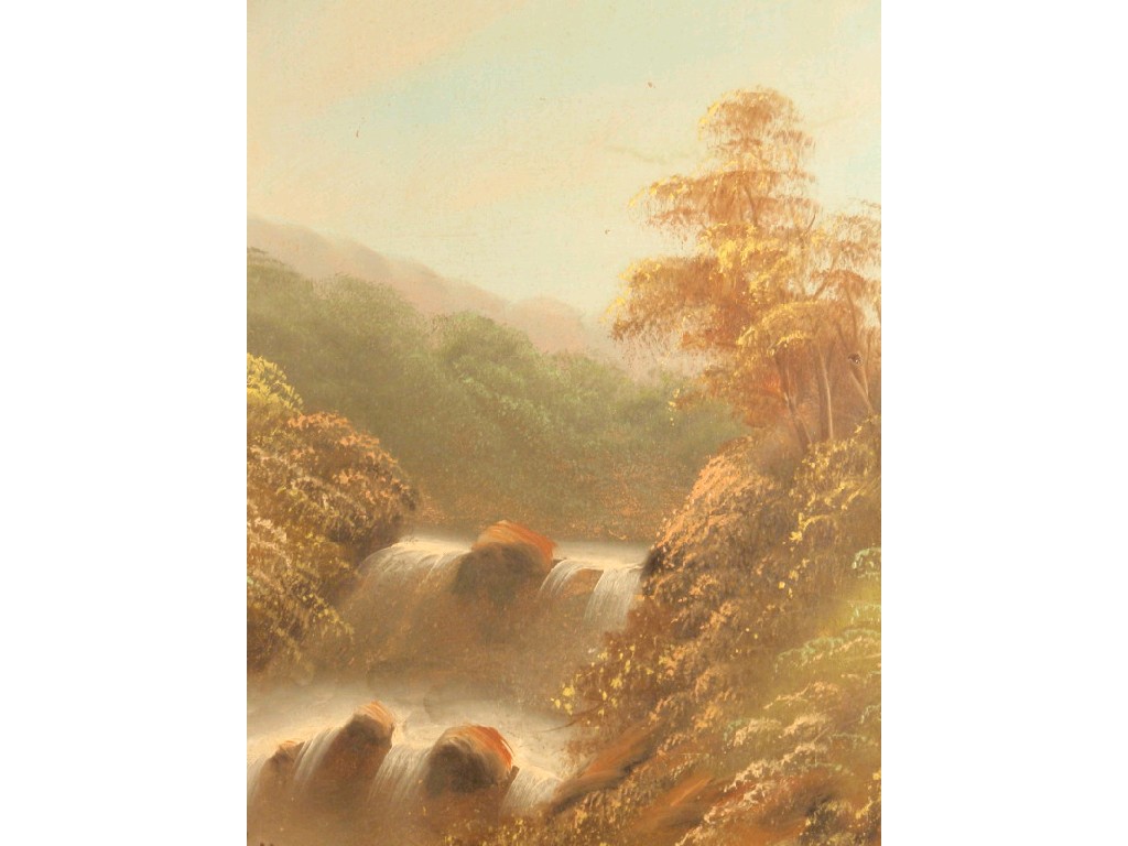 Appraisal: W Collins A pair of river scenes with waterfalls oil