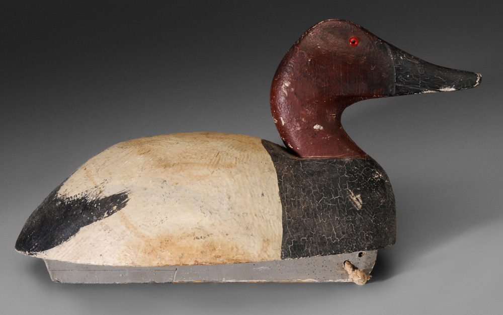 Appraisal: Canvasback Duck Decoy probably Michigan early th century carved and