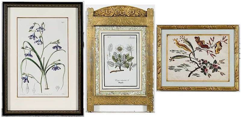 Appraisal: Group of Framed Botanical Prints th- th century thirteen hand