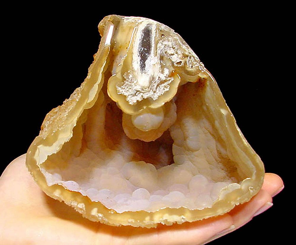 Appraisal: Dreamy Florida Agatized Coral Geode Botryoidal Cavity North America Southern