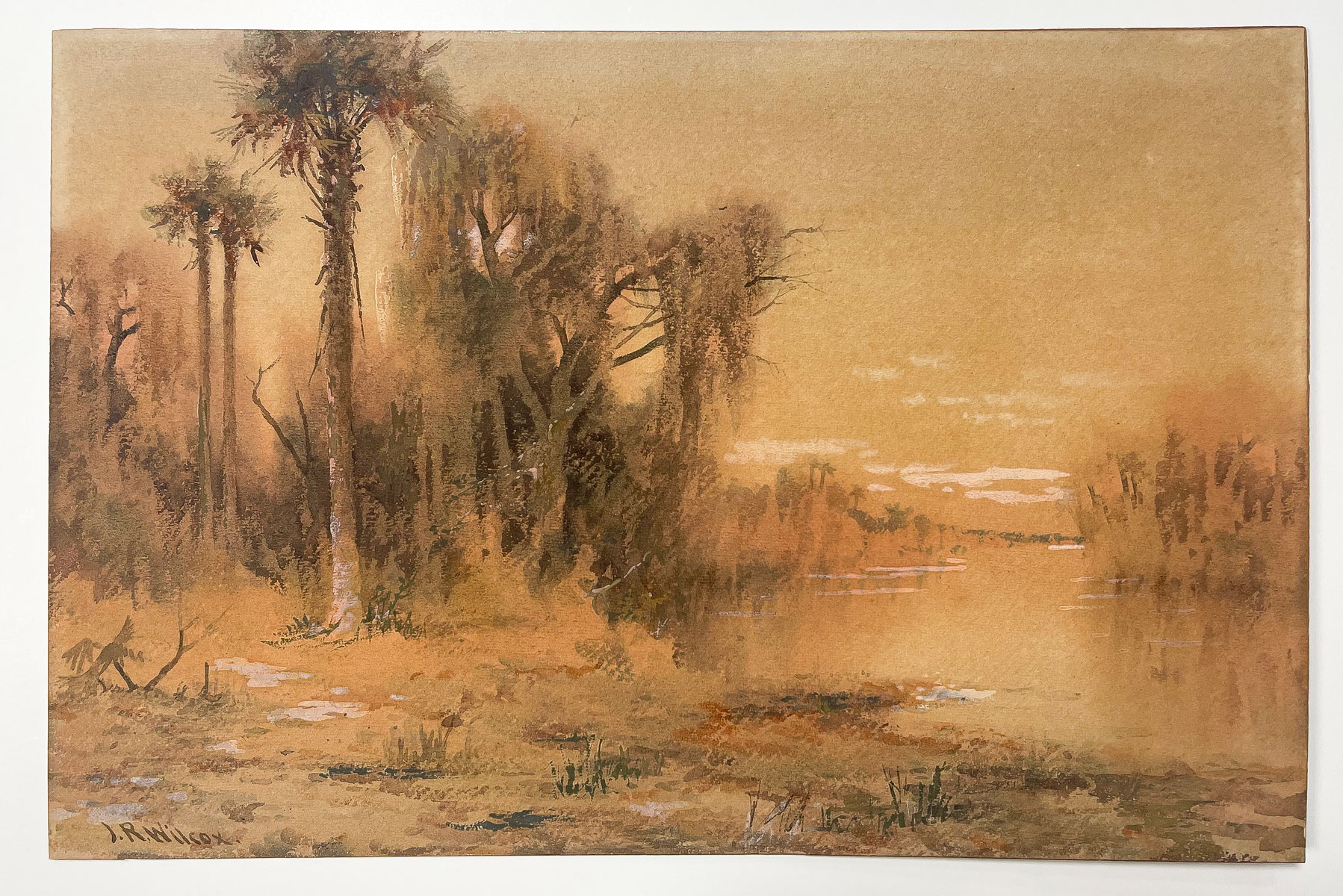 Appraisal: WILCOX J Ralph American Canadian - Tomoka River Watercolor ''