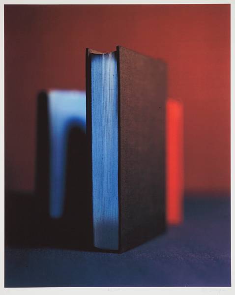 Appraisal: Victor Schrager American born Untitled from Book Series Ink pigment