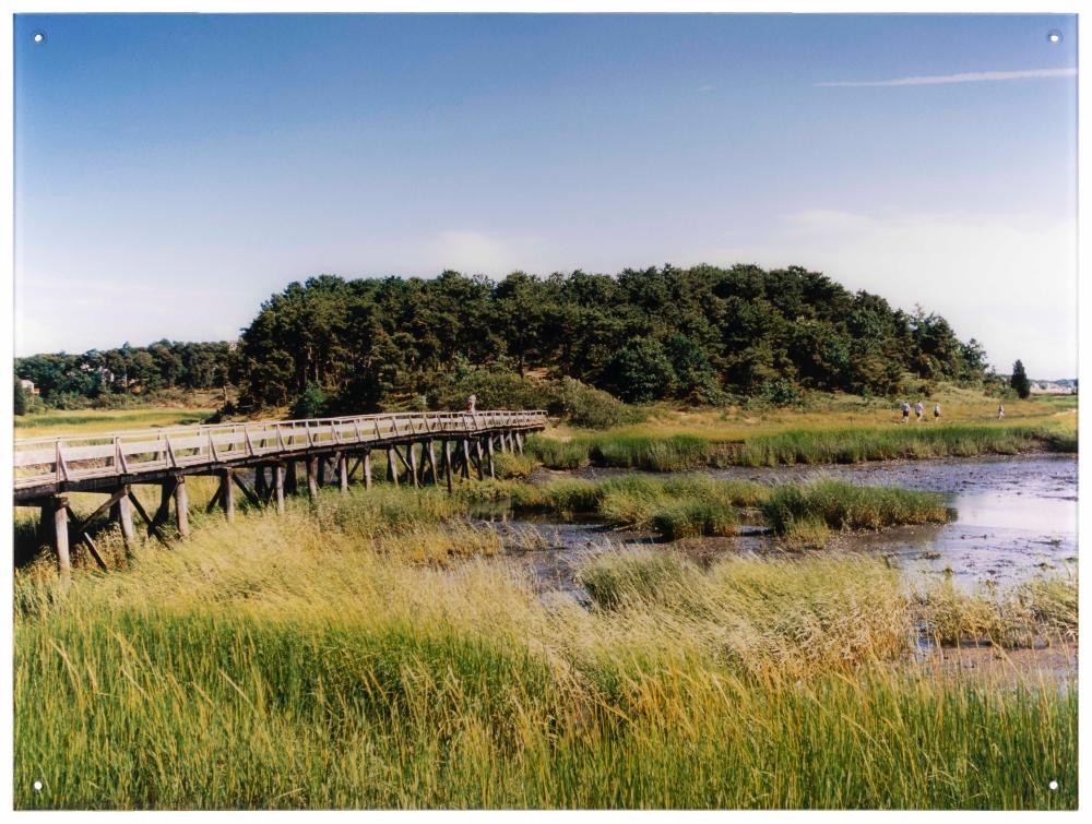 Appraisal: HANNEKE LUIJTING NORWAY CONTEMPORARY WOODEN BRIDGE ACROSS A SALTWATER MARSH