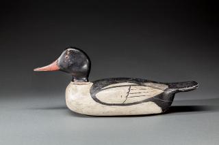 Appraisal: Merganser Drake Julius E Mittlesteadt - Buffalo NY c An