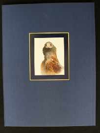 Appraisal: Ching Raymond Studies and Sketches of a Bird Painter folio