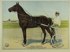 Appraisal: ADVERTISEMENT POSTER - CHROMOLITHOGRAPH ON PAPER CA EQUINE PORTRAIT CAPTIONED