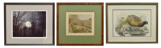 Appraisal: lot of Framed art including hand-colored photograph Orchard Delight signed