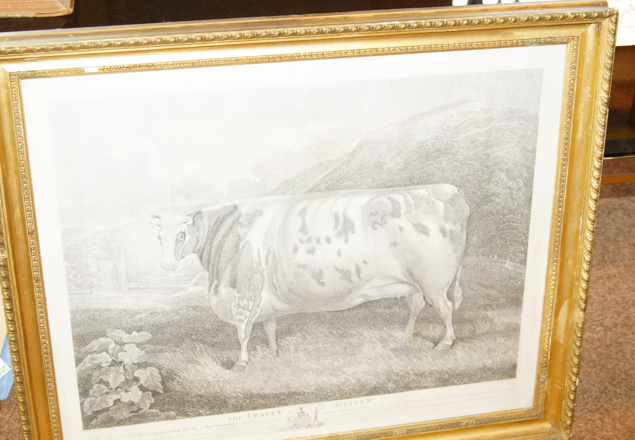 Appraisal: After Fryer The Craven Heifer engraving by J Whessell circa