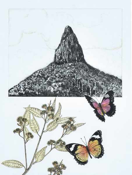 Appraisal: PAMELA GRIFFITH BORN Tallow Wood Forest and Lacewing Butterflies hand