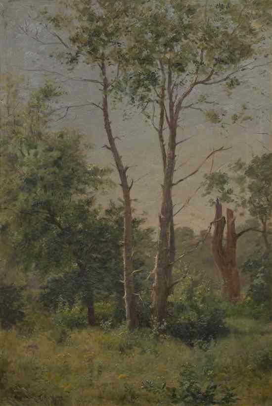 Appraisal: Charles Francis Browne American - Stand of Trees oil on