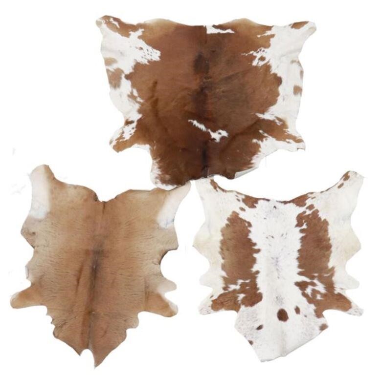 Appraisal: lot of Calf hides brown and white including with small