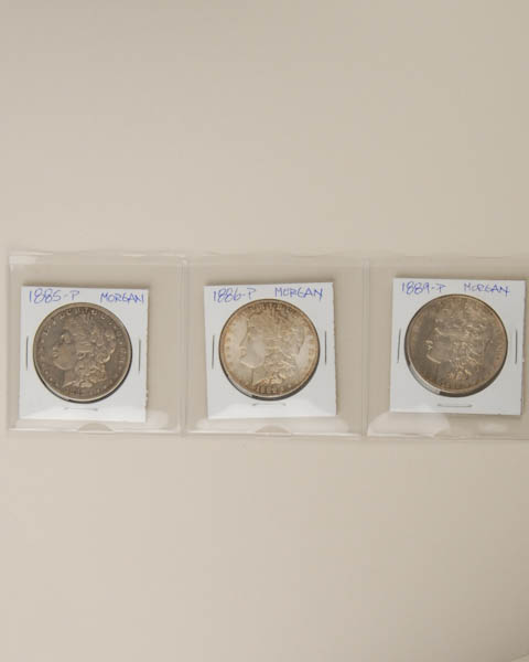 Appraisal: Morgan Silver Dollars all Philadelphia