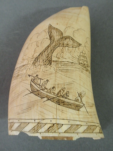 Appraisal: Scrimshaw whale s tooth th c h