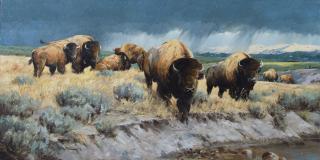 Appraisal: Power of the Plains by Ken Carlson Ken Carlson -