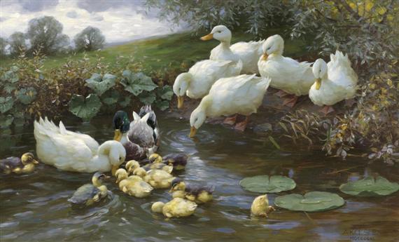 Appraisal: KOESTER ALEXANDER Bergneustadt - Munich Family of ducks at the