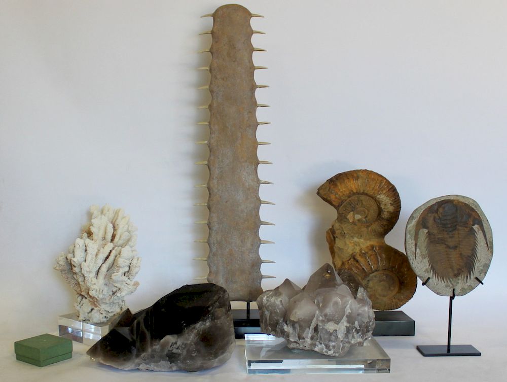 Appraisal: Assorted Grouping of Specimens and Fossils Includes a R Y