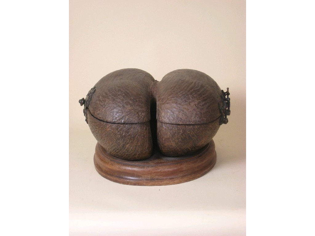 Appraisal: A Coco de Mer shell Box on mahogany base with