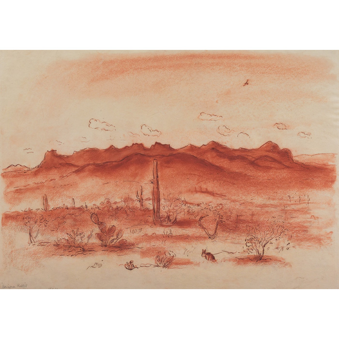 Appraisal: John Steuart Curry American - Arizona Rabbit c conte crayon