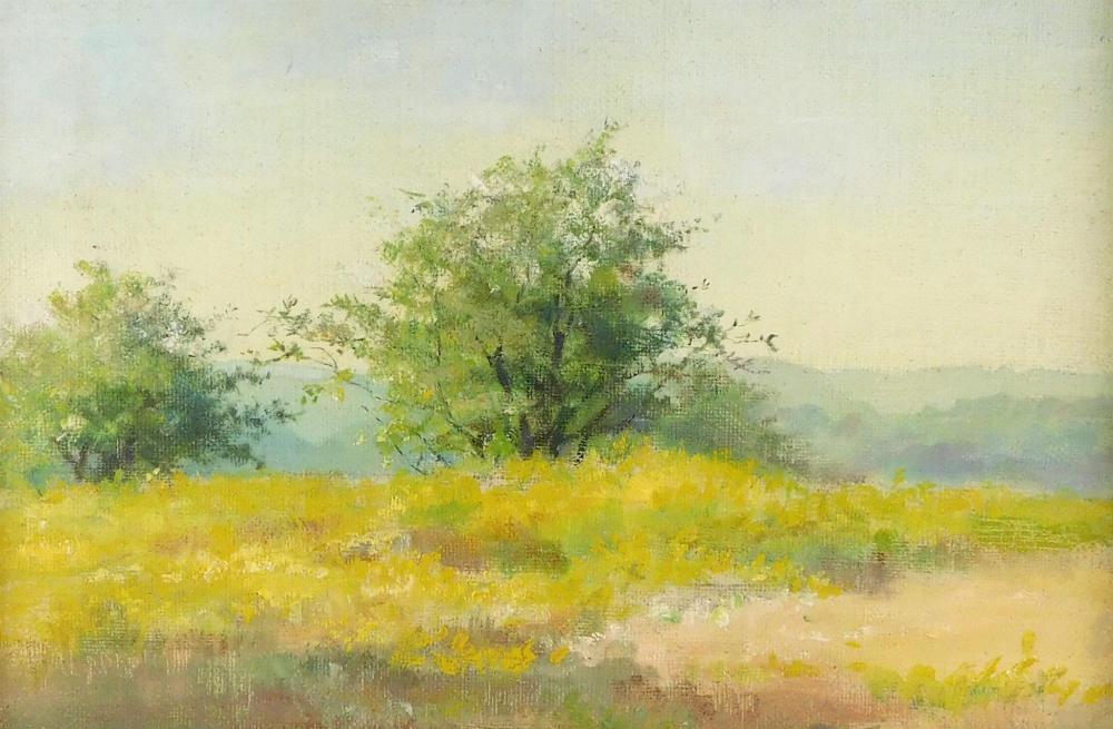 Appraisal: Attributed Fannie C Burr Connecticut - oil on canvas spring