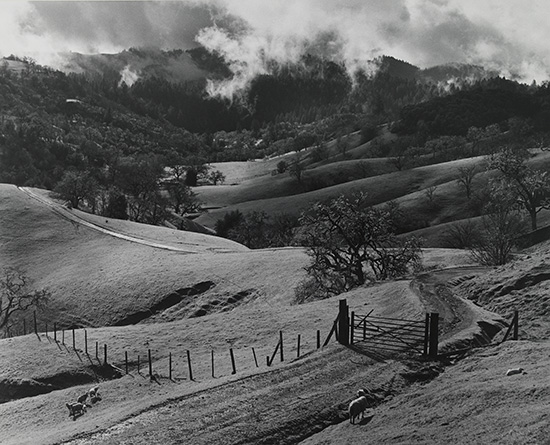 Appraisal: ADAMS ANSEL - Sonoma County Hills Silver print x inches