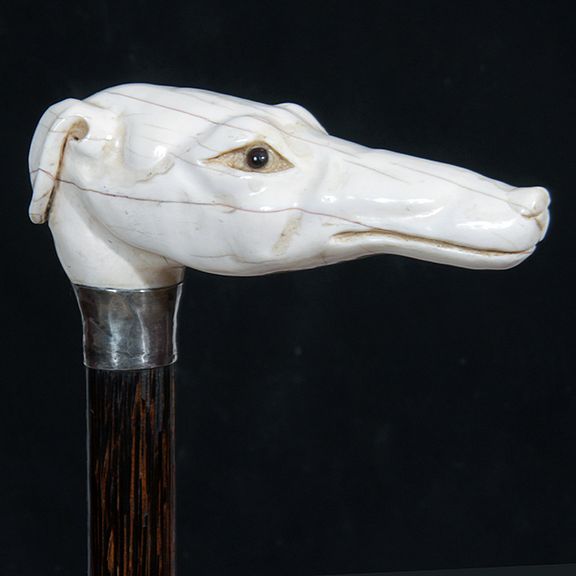 Appraisal: Walrus Ivory Greyhound Cane Mid th Century- A thick carved