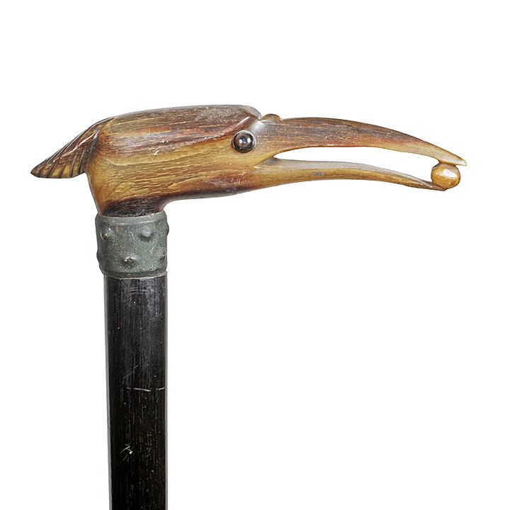 Appraisal: Horn Frigate Bird Cane Ca - A carved horn bird