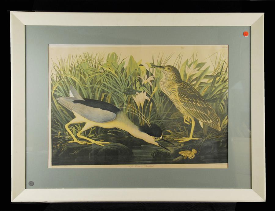 Appraisal: AFTER JOHN JAMES AUDUBON American - NIGHT HERON Plate chromolithograph