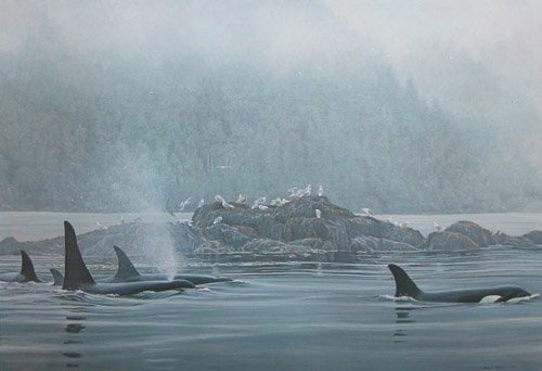 Appraisal: Orca Procession Artist Bateman Robert Canadian born One of Robert