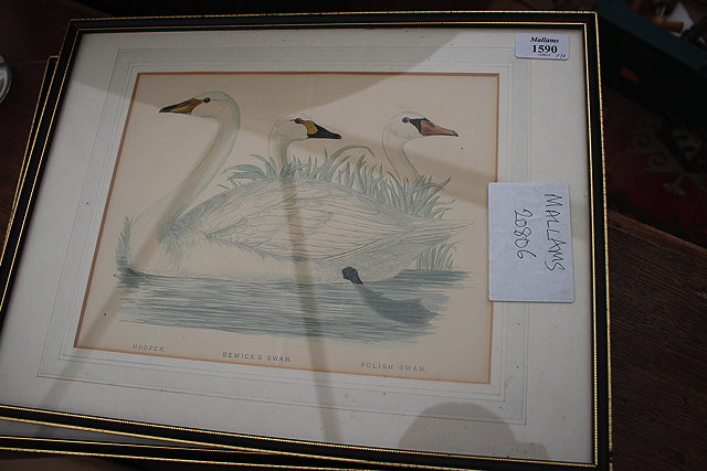 Appraisal: A GROUP OF TEN VARIOUS DECORATIVE FLOWER AND BIRD PRINTS