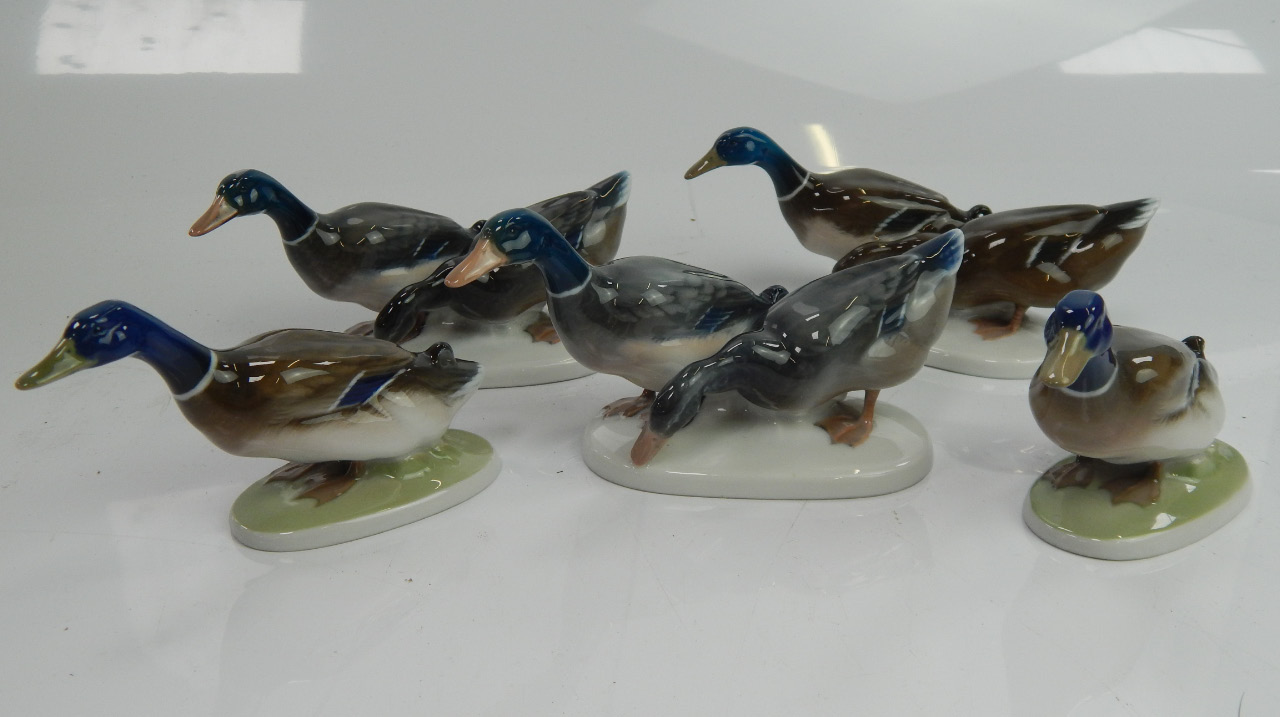 Appraisal: A small collection of five Rosenthal porcelain duck figures and