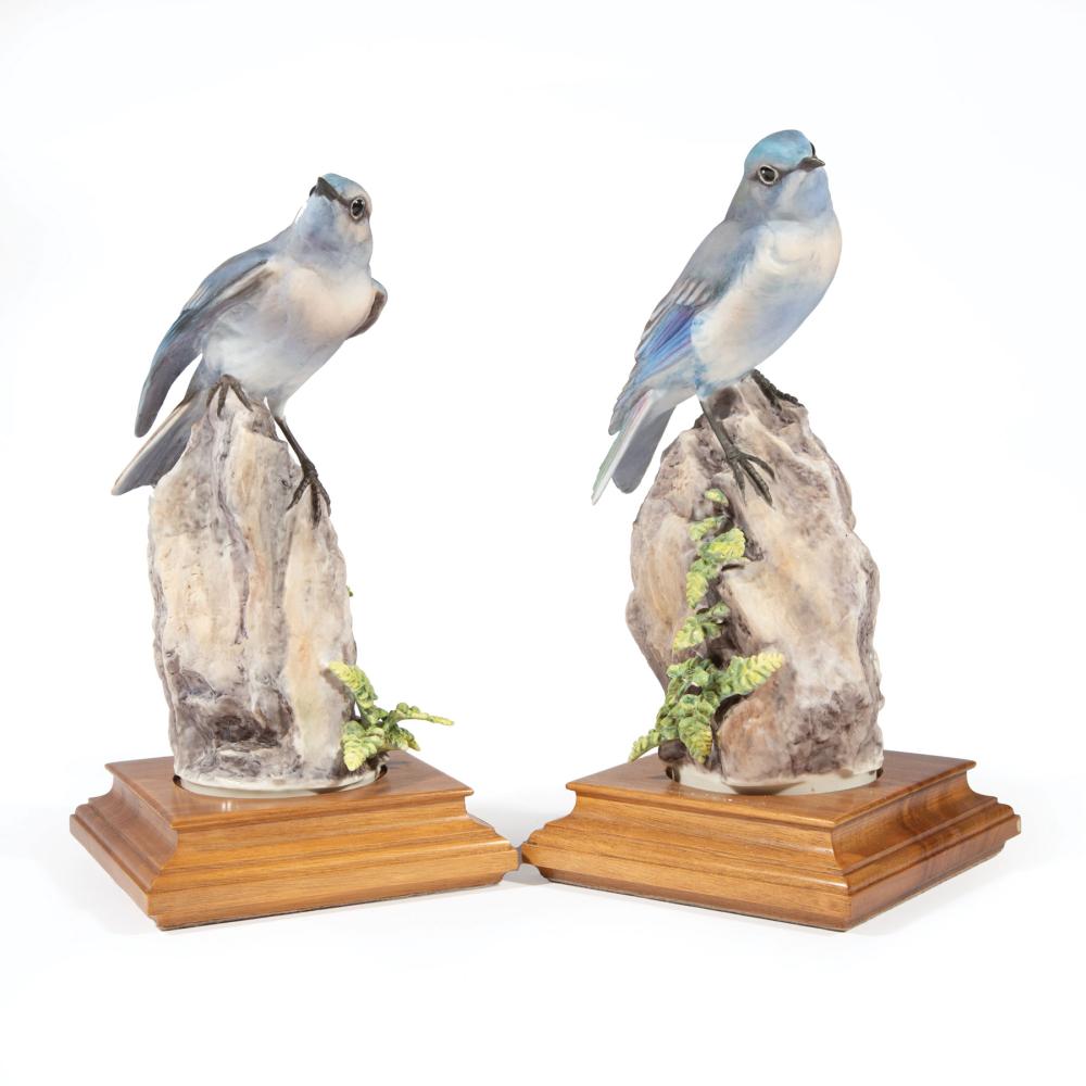 Appraisal: Pair of Royal Worcester Dorothy Doughty Porcelain Mountain Bluebirds with