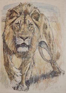 Appraisal: Fritz Hug lithograph Fritz Hug Swiss - - Lion- lithograph