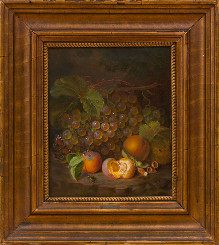 Appraisal: EUROPEAN SCHOOL STILL LIFE WITH BEETLES AND A BUTTERFLY Oil