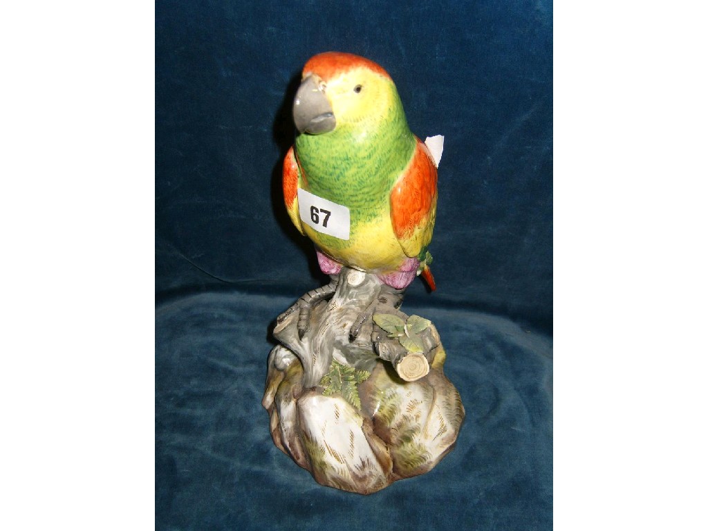 Appraisal: A th century continental model of a parrot with green