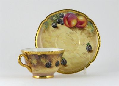 Appraisal: A Royal Worcester bone china cup and saucer painted with